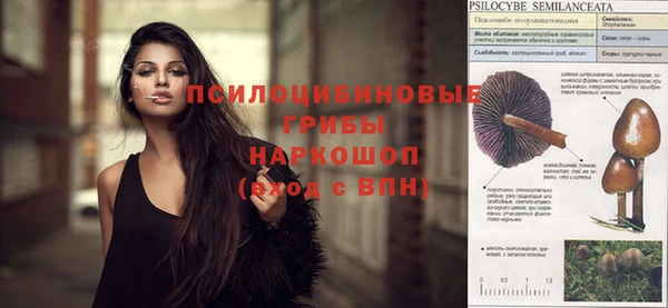 СК Арсеньев