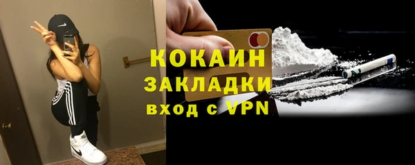 гидра Аркадак