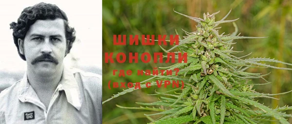 соль ск Алексин