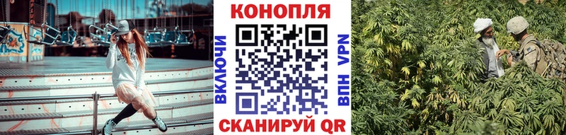 маркетплейс формула  Протвино  Конопля планчик 